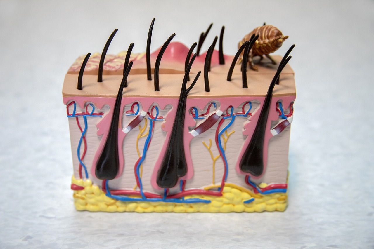 hair fall causes by hormonal imbalance