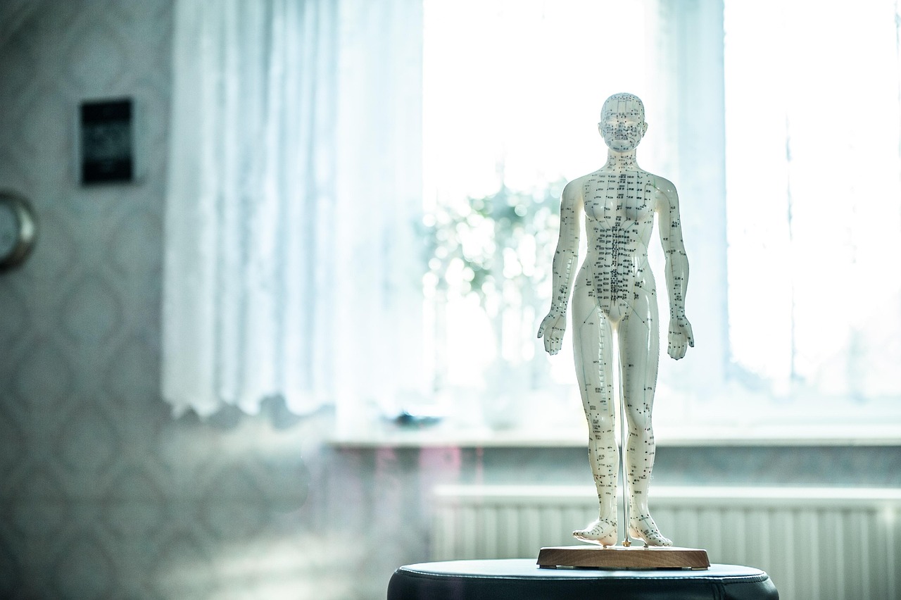 ACUPUNCTURE HUMAN BODY POINTS